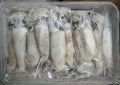 Freshly frozen kelong sotong in a 500g box