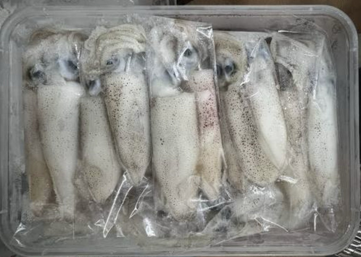 Freshly frozen kelong sotong in a 500g box