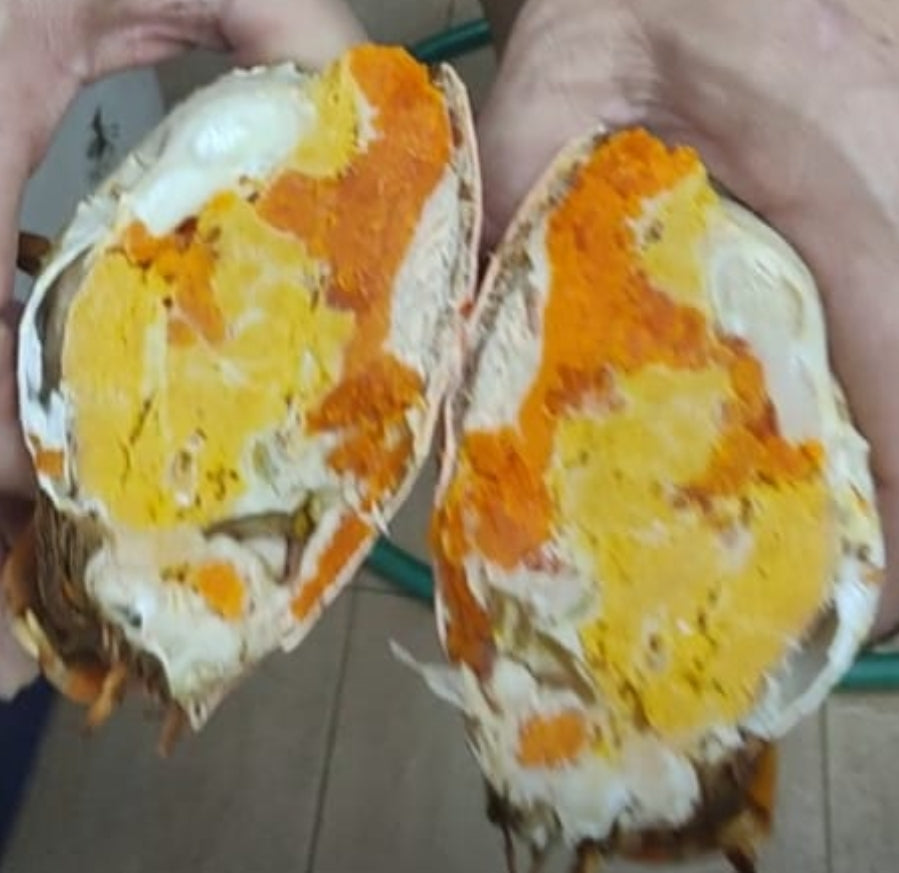 Ready-to-Eat Yellow Roe Crabs