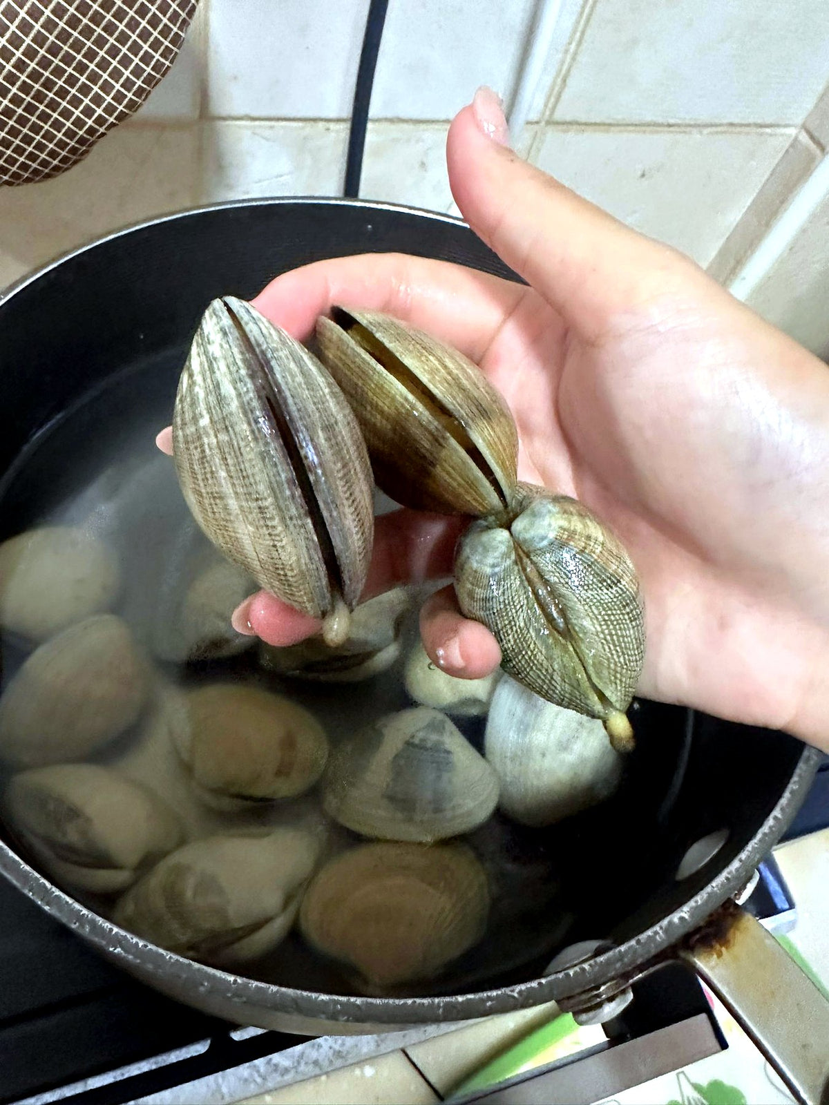 Live Canadian Manila clams in a 1kg pack