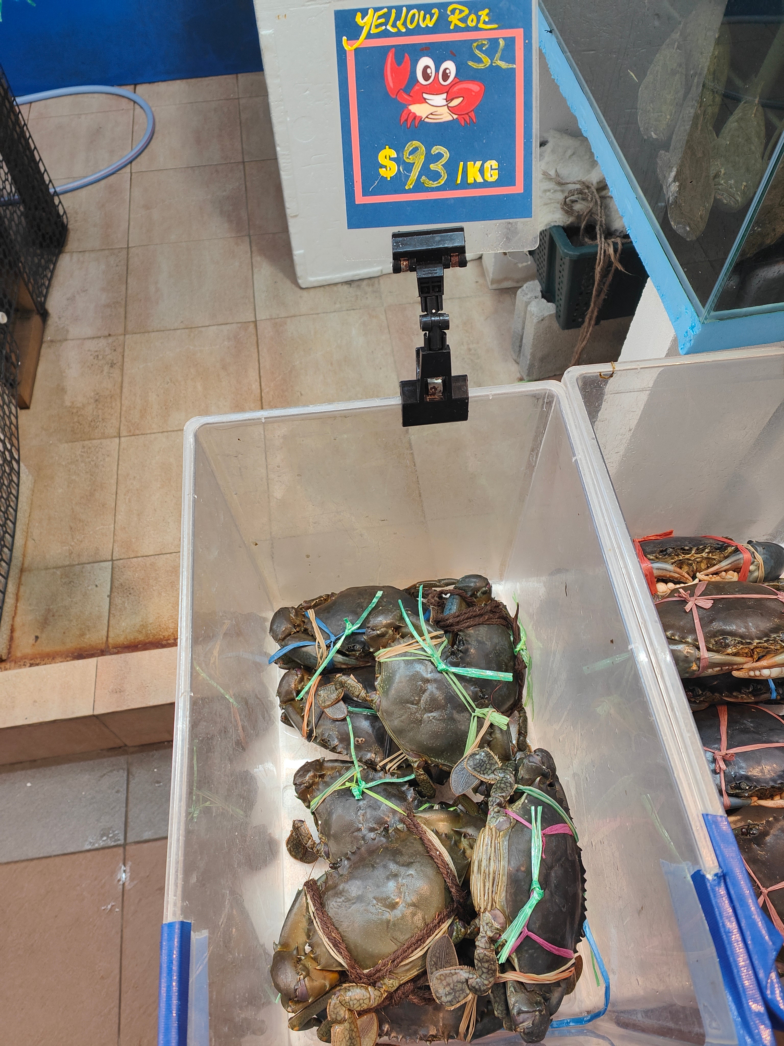 Live Sri Lanka Yellow Roe Crabs – Reservation Deposit