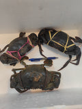 500g+ Live Mud Crab Deal – 3 Crabs